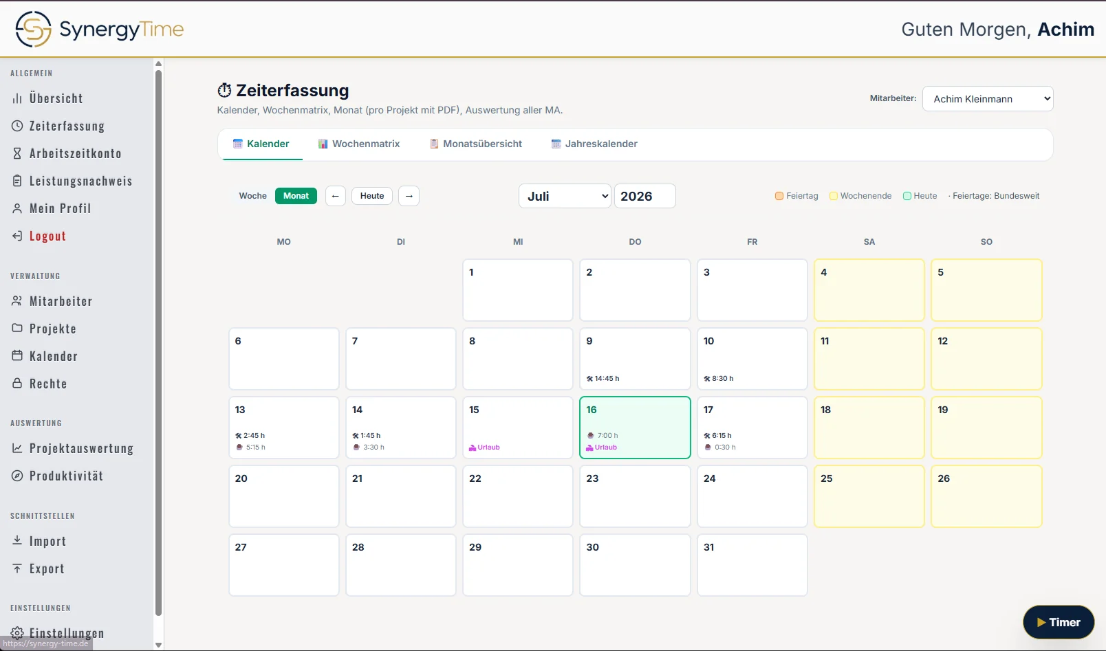 Screenshot der Synergy-Time-Oberfläche